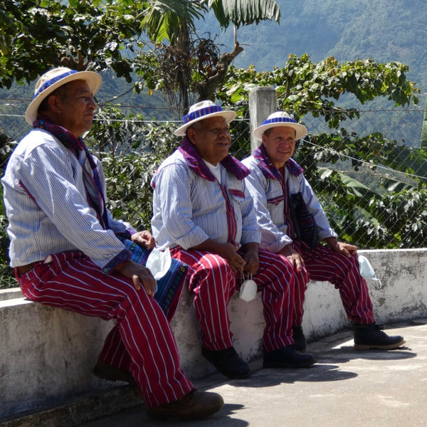 Coffee of the Month - Guatemala El Pensativo