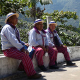Coffee of the Month - Guatemala El Pensativo