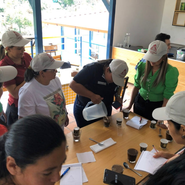 Coffee of the Month - Colombia La Plata Women's Project