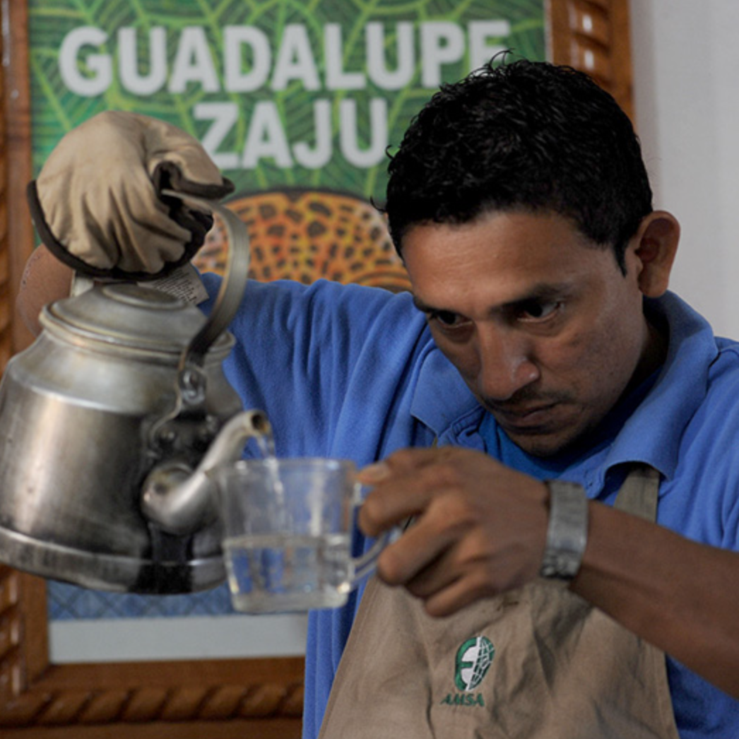 Mexico Finca Guadalupe Zaju