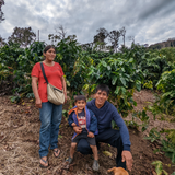 Bolivia Uchumachi La Paz - Coffee of the Month