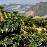 Guatemala Los Volcanes Todos Santos