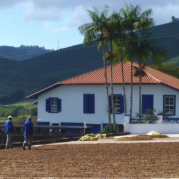 Decaffeinated Brazil Fazenda Recreio Natural