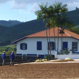 Decaffeinated Brazil Fazenda Recreio Natural