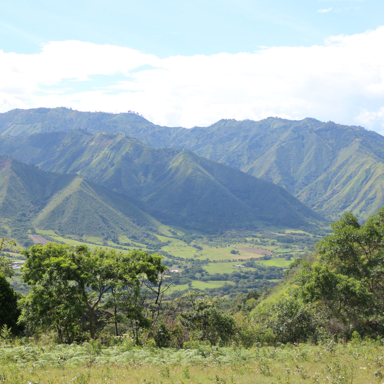 Photo of Colombia Womens Project