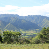 Coffee of the Month - Colombia La Plata Women's Project