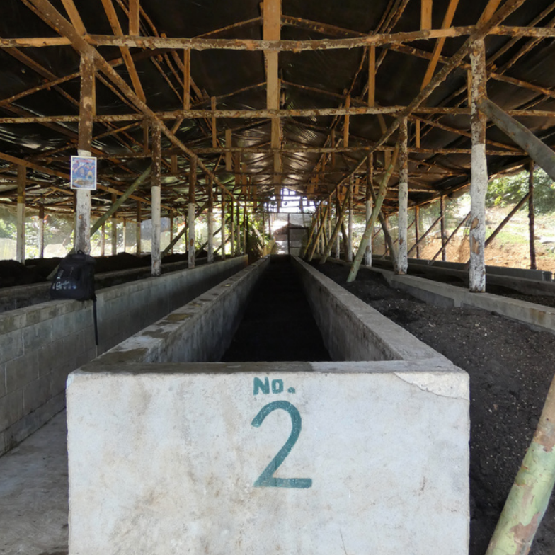 Photo of Guatemala Montecristo Organic
