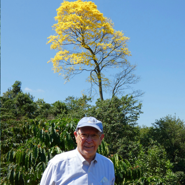 Guatemala Monte Cristo 100% Organic