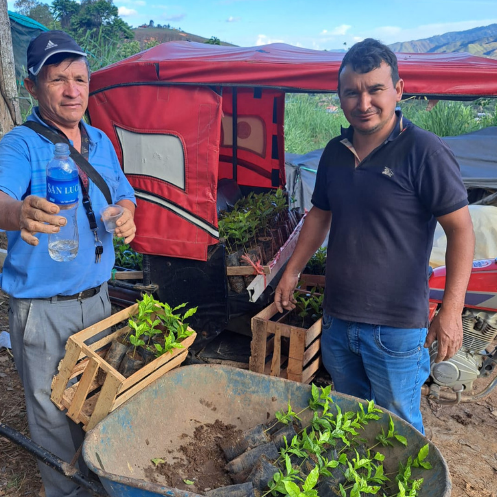 Photo of Peru San Ignacio Cajamarca El Oso Fairtrade