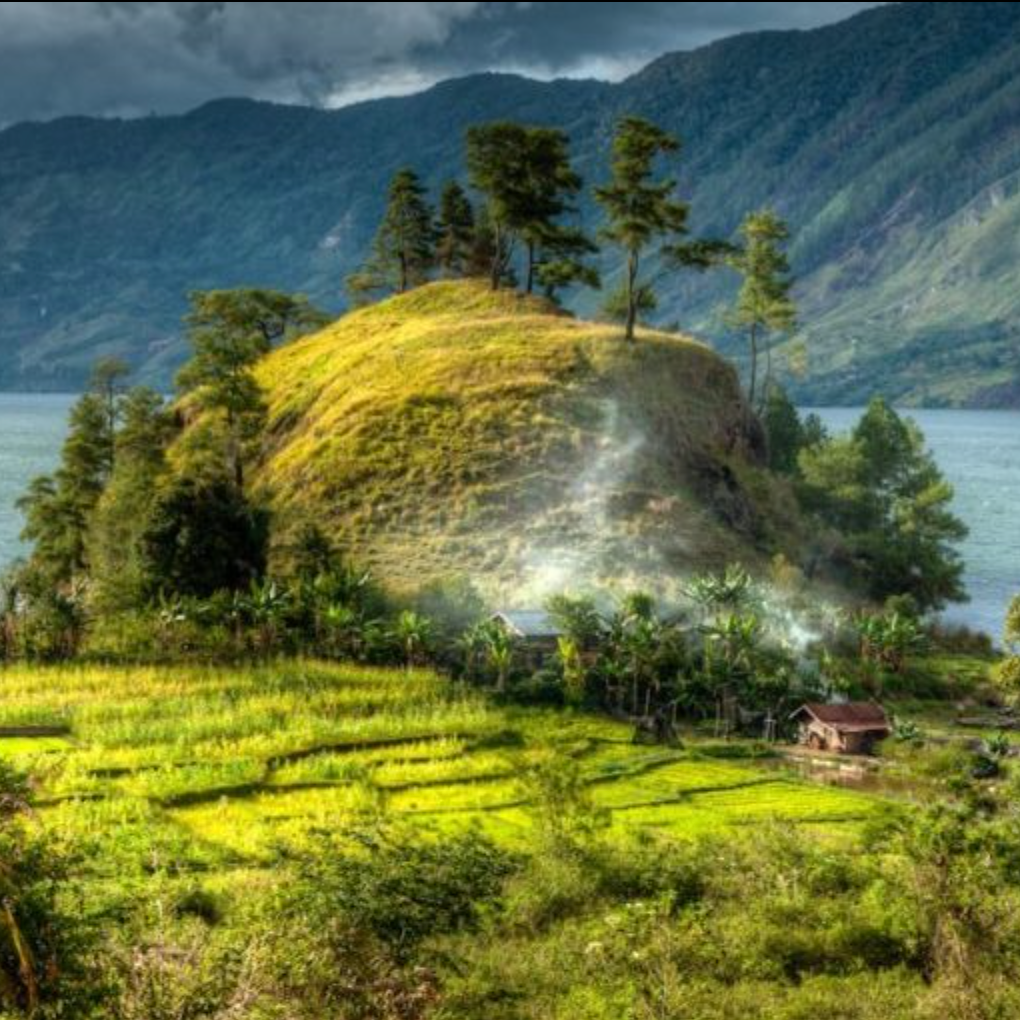 Sumatra Mandheling Menagold