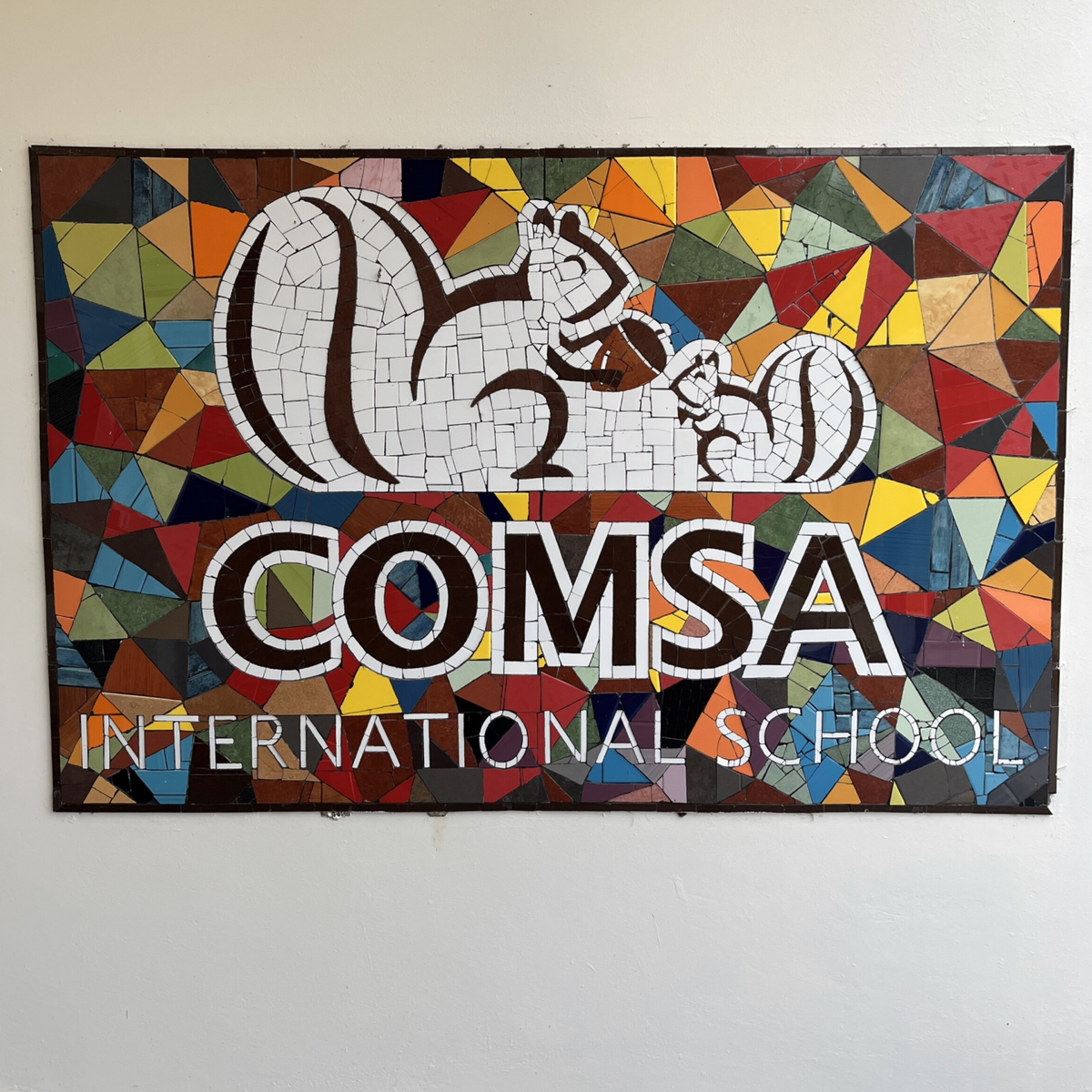 Coffee of the Month - Honduras Comsa School Project Fairtrade Organic
