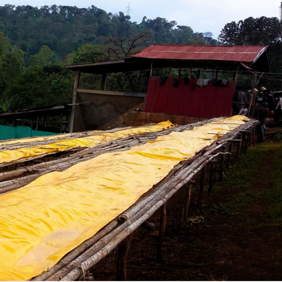 Ethiopia Yirgacheffe Dumerso Natural
