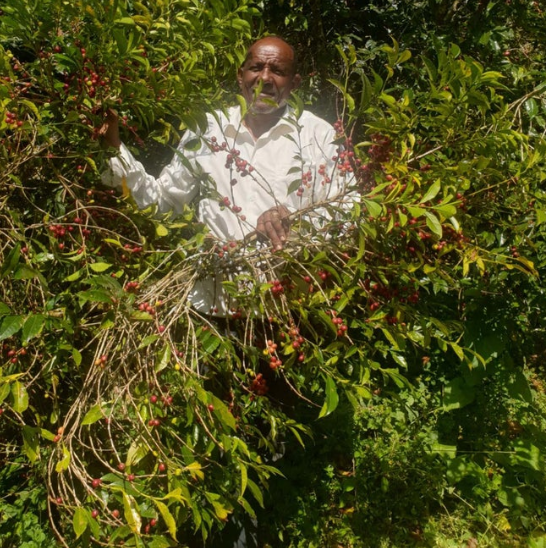 Photo of ETHIOPIA SIDAMO BONA NARE WARE NATURAL LALISSA