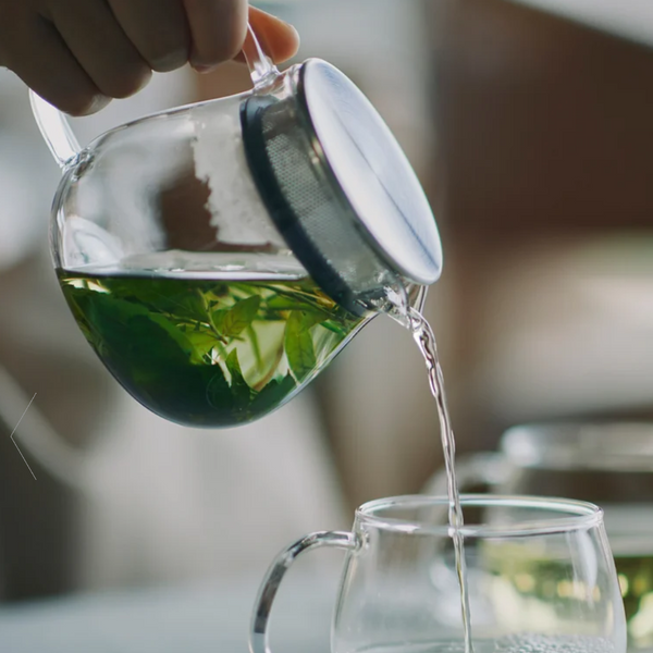KINTO unitea one touch teapot 460ml