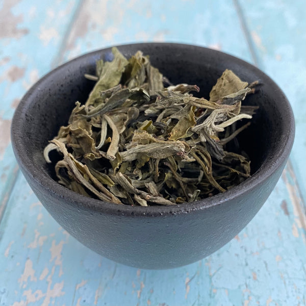 China Snow Bud